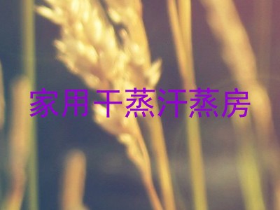 家用干蒸汗蒸房