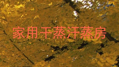 家用干蒸汗蒸房