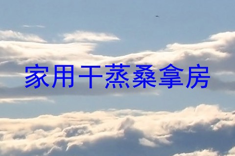 家用干蒸桑拿房