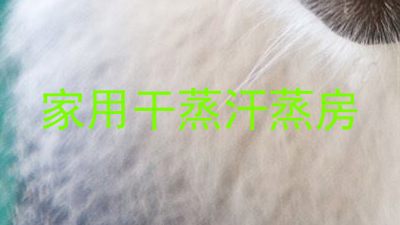 家用干蒸汗蒸房
