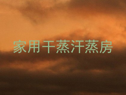 家用干蒸汗蒸房