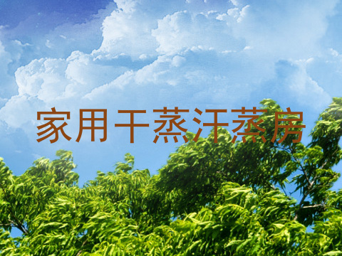 家用干蒸汗蒸房