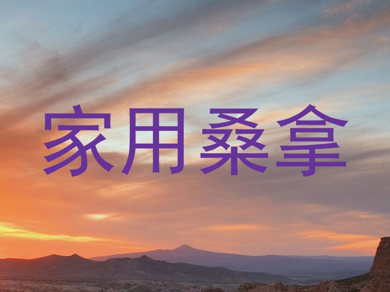 家用桑拿