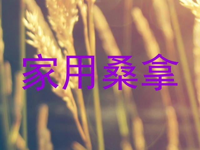 家用桑拿