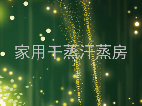 家用干蒸汗蒸房