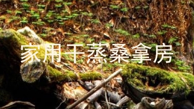 家用干蒸桑拿房
