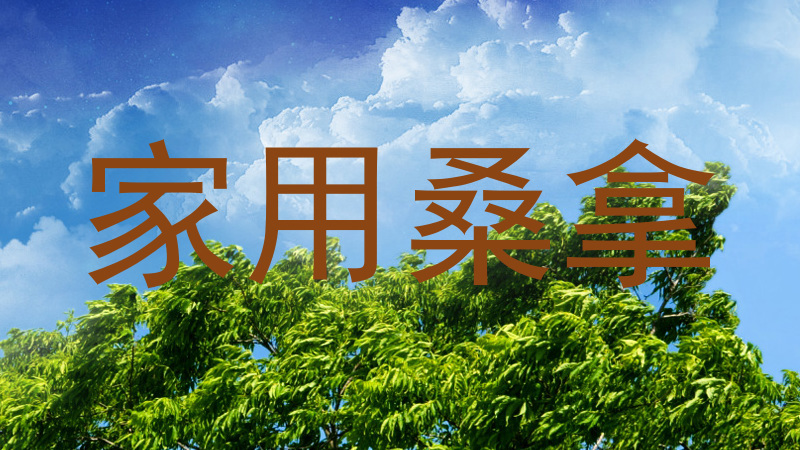 家用桑拿