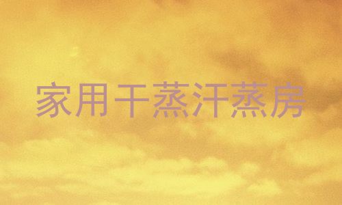 家用干蒸汗蒸房