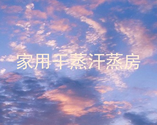 家用干蒸汗蒸房