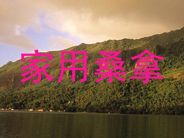 家用桑拿