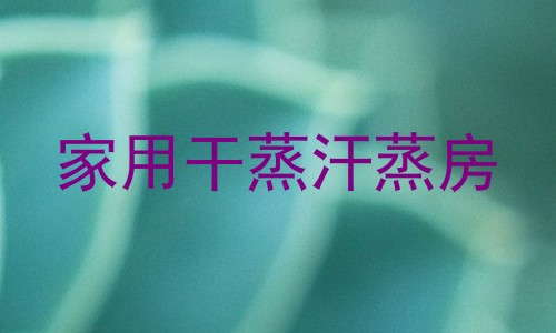 家用干蒸汗蒸房