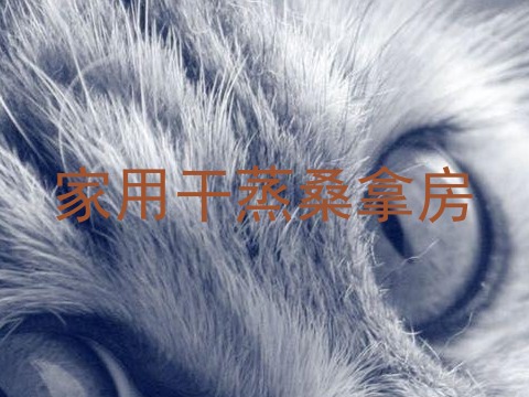 家用干蒸桑拿房
