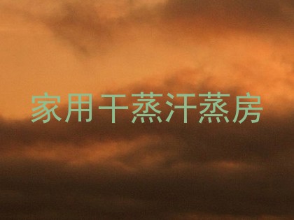 家用干蒸汗蒸房