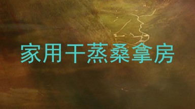 家用干蒸桑拿房