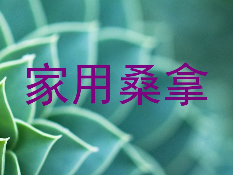家用桑拿