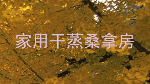 家用干蒸桑拿房