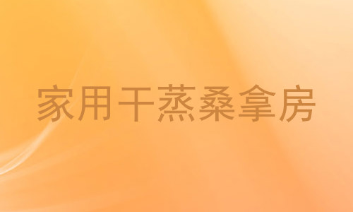 家用干蒸桑拿房