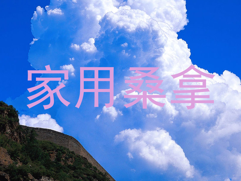 家用桑拿