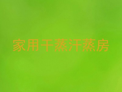 家用干蒸汗蒸房