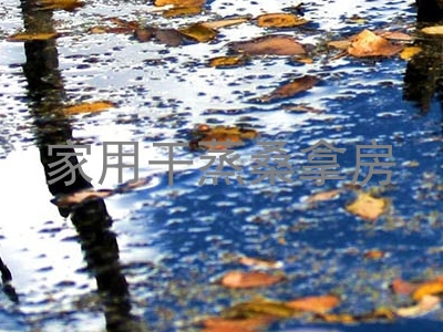 家用干蒸桑拿房