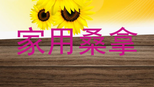 家用桑拿