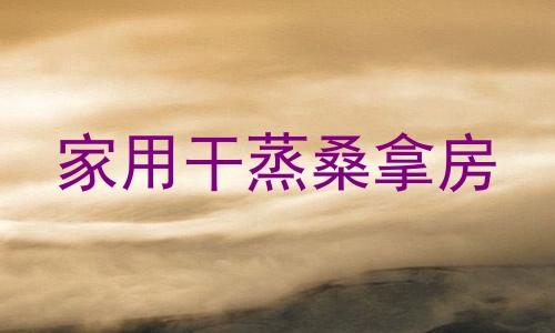 家用干蒸桑拿房