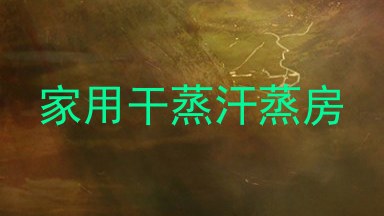 家用干蒸汗蒸房