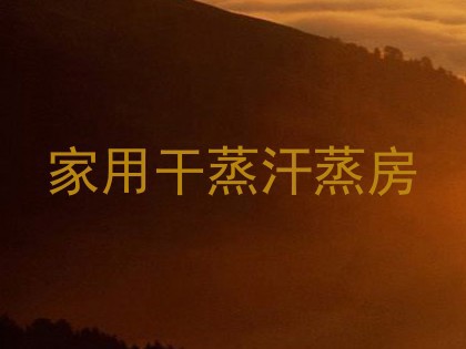 家用干蒸汗蒸房