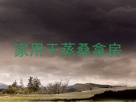 家用干蒸桑拿房