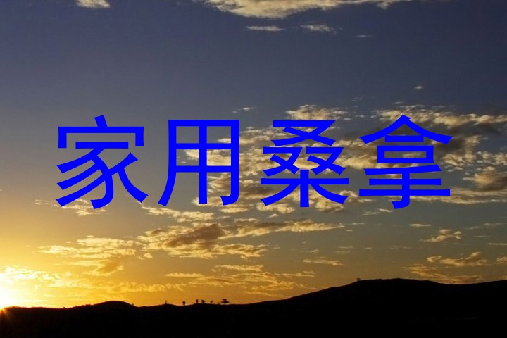 家用桑拿