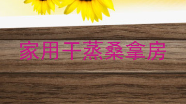 家用干蒸桑拿房