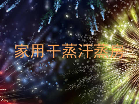 家用干蒸汗蒸房