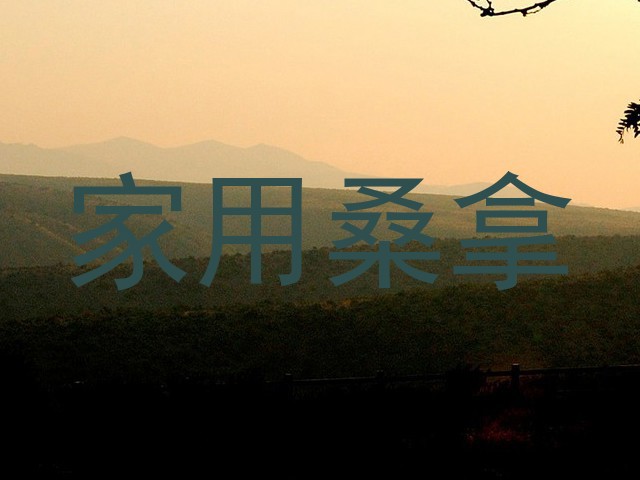 家用桑拿