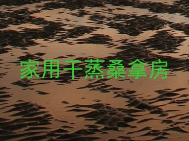 家用干蒸桑拿房