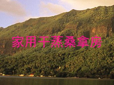 家用干蒸桑拿房