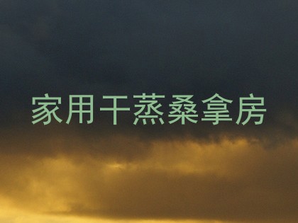 家用干蒸桑拿房
