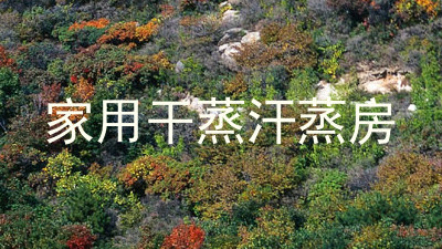 家用干蒸汗蒸房