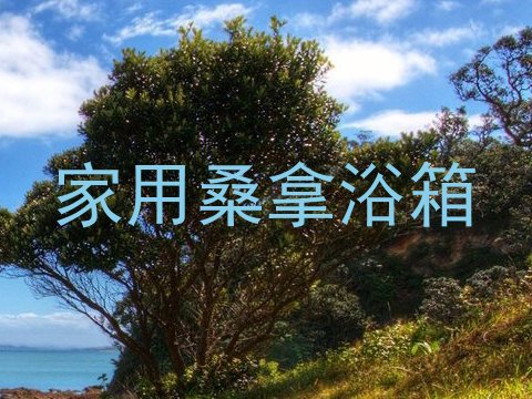 家用桑拿浴箱