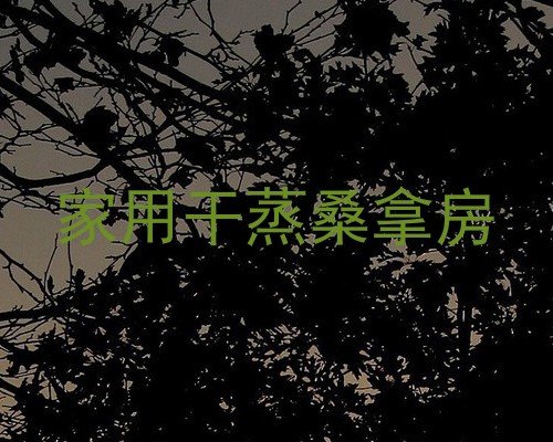 家用干蒸桑拿房