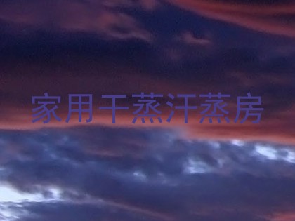 家用干蒸汗蒸房