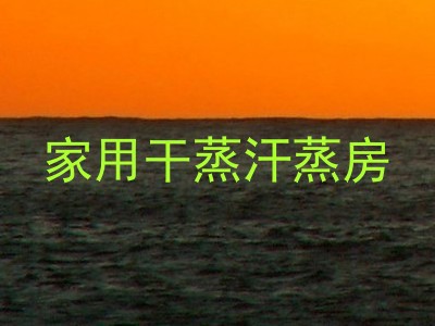 家用干蒸汗蒸房