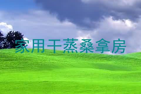 家用干蒸桑拿房