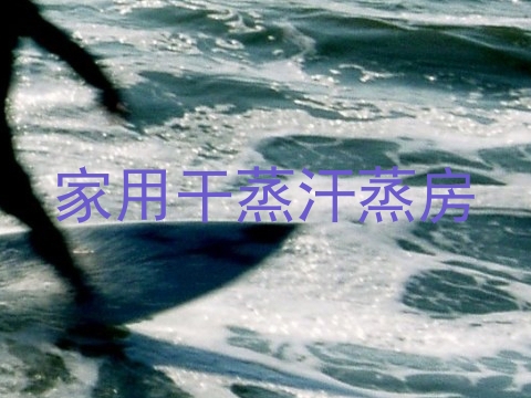 家用干蒸汗蒸房
