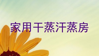 家用干蒸汗蒸房