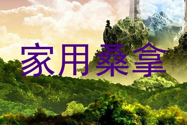 家用桑拿