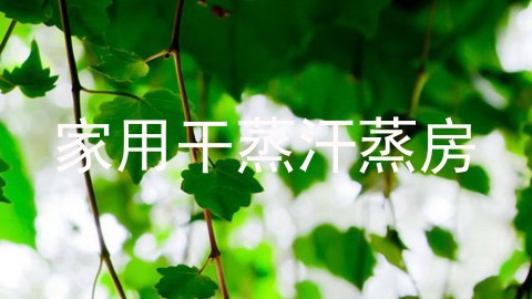 家用干蒸汗蒸房
