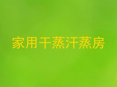 家用干蒸汗蒸房