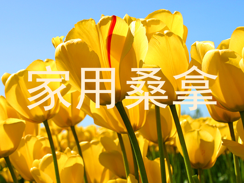 家用桑拿
