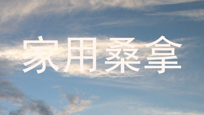 家用桑拿