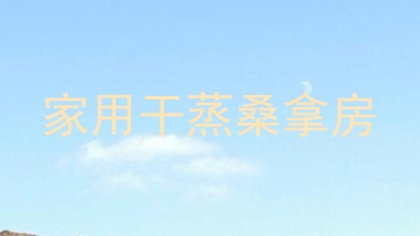 家用干蒸桑拿房